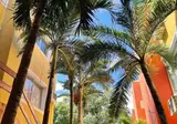 Suites Cancun Center foto 6