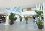 Hotel Timor foto 7