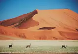 Discover Spectacular Namibia foto 4
