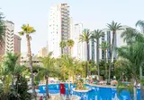 Flamingo Oasis foto 14