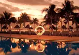 Dreams Tulum Resort & Spa foto 24