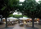 Cypsela foto 7