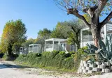 Baia Holiday Gardasee foto 14