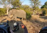 The Ultimate South Africa Experience foto 1