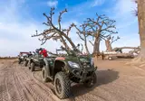 Royal Horizons Baobab foto 23