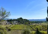 Les Chênes Blancs foto 20