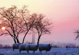 Kerst in Zuid-Limburg, Slenaken foto 3