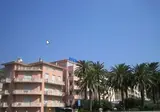 Corallo foto 26