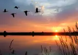De Wiedense Meren foto 5