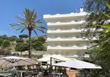 Hotel Delle Palme foto 7