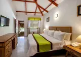 Viva Dominicus Palace by Wyndham, A Trademark All Inclusive foto 14