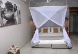 Les Paletuviers foto 3