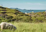 A Northern Norway & Lofoten Adventure foto 5