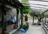 Aroma Stegna foto 15