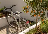 Urban Garden Hotel foto 17