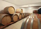 Vinifera Vineyards Hotel foto 9