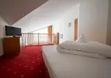 Garni Hotel Alpin foto 12