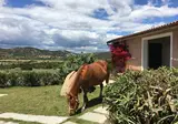 Borgo Di Campagna foto 10