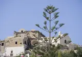 Paradise Resort Santorini foto 16