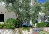 Baia Degli Aranci foto 15