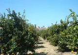 Leonidas Village Houses foto 20
