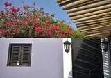 Mammaloe's foto 26