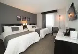 LaiLa Hotel CDMX foto 17