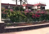 San Nicolas foto 1