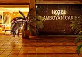 Flamboyan Caribe Hotel & Spa foto 5