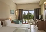 Atlantica Amalthia Beach Hotel foto 12