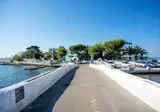Isola Lo Scoglio foto 25