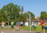 L Ile Du Rhin foto 3