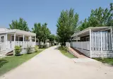 Le Mimose Family Resort foto 4
