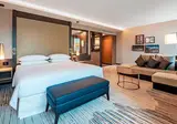 Sheraton Grand Tbilisi Metechi Palace foto 19
