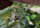 Hotel Kin Ha Tulum foto 24