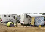 Gala foto 17
