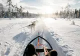 Lapland Hotels Sirkantähti foto 12