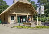 Oostappen Vakantiepark Arnhem foto 25