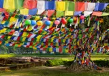 Rondreis Kleurrijk India en Nepal foto 19