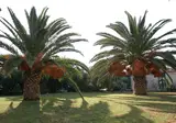Gorgona Hotel foto 3
