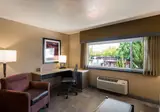 Best Western Plus Canyonlands Inn foto 14
