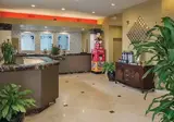 Peacock Suites foto 6