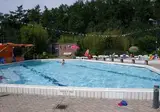 Vakantiepark de Bonte Vlucht foto 4