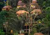 Nandini Jungle by Hanging Gardens foto 1