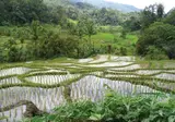 Ontdek Noord-Sumatra en relax op Bali foto 17