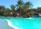 Sun Club Playa del Ingles foto 14