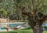 Thires Guesthouse foto 7