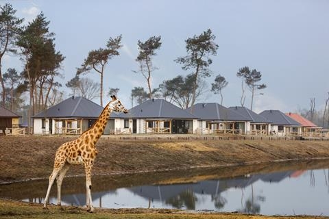 Safari Resort Beekse Bergen