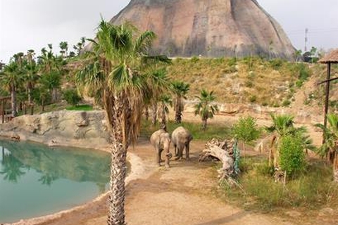 Magic Natura Animal, Waterpark & Polynesian Lodge