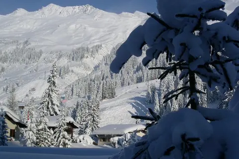 Hotel Alpina Parpan foto 21